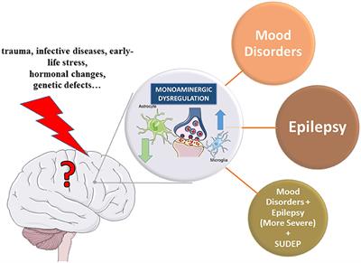 Monoaminergic Mechanisms in Epilepsy May Offer Innovative Therapeutic Opportunity for Monoaminergic Multi-Target Drugs